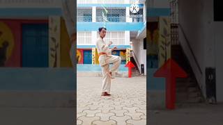 Mae geri kick step by step shorts karate [upl. by Eseuqram402]