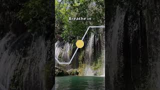 Parasympathetic Breathing Exercise 4462 breathingforanxiety breathe breathingexercise [upl. by Ransom272]