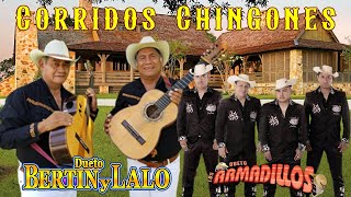 Bertin y Lalo y Dueto Los Armadillos MIX  Puros Corridos Chingones  20 Exitos [upl. by Ryann]