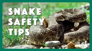 Snake Safety Tips [upl. by Naomi]