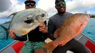 Pole spearing in Great Inagua Bahamas  Dog snapper permit and lobster harvest [upl. by Einoj439]