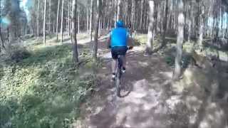 MTB Cannock Chase Monkey Trail Full [upl. by Lorre]