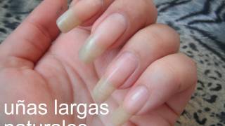 Uñas largas naturales te digo como lograrlo [upl. by Aehtla]