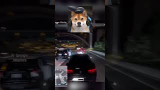 Sprenger ist Blind csyon gtarp roleplay rlo gta gaming gta5 funny fivem csyon [upl. by Strepphon]