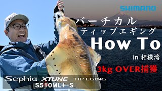 バーチカルティップエギングHOWTO in 相模湾 × セフィアXTUNE S510MLS 【3kgオーバー捕獲】 [upl. by Eurydice]