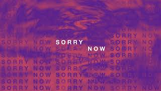 A R I Z O N A  Sorry Now Official Audio [upl. by Nylcaj949]