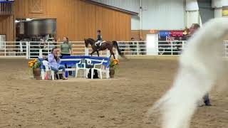 MAHA Fall Classic 2024  walktrot 10 amp under pleasure championship [upl. by Hirai452]