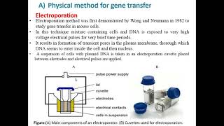 transfection methods [upl. by Werdna]