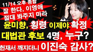 1114 오후 윤미향 횡령 이제야 확정 대법관 후보 4명 누구 민 헌재서 깨지더니 이진숙 감사 잘 한다 이영애 절대 봐주지 마라 레지스탕스TV 정광용TV [upl. by Athalee]