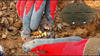 EXCAVATIONS OF GERMAN AND SOVIET WWII SOLDIERS WITH WEAPONS  WW2 METAL DETECTING [upl. by Asiluj122]