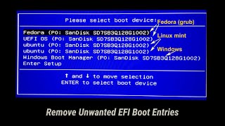 Remove Old EFI Entries from Boot Menu  Without using CMD Commands [upl. by Wells]