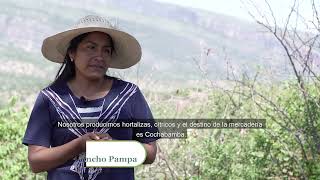 Agroecología en la Comunidad Rancho Pampa  Torotoro Bolivia [upl. by Muncey]