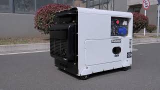 6kw Diesel Generator Show [upl. by Sugden536]