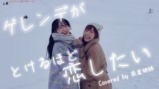 【姉妹でハモる  MV】ゲレンデがとけるほど恋したい  広瀬香美 Covered by 奈良姉妹 [upl. by Adnohsat]