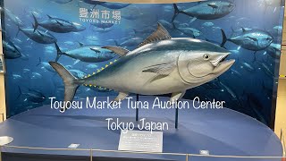 Toyosu Market Tuna Auction Center Tokyo Japan 2024 0215 [upl. by Franek]