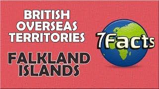 7 Facts about the Falkland Islands [upl. by Nuahs]