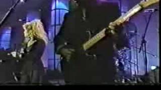 Taylor Dayne Live on Arsenio Hall [upl. by Yevad]