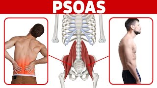 The BEST Way to Release a Tight Psoas Muscle for Low Back Pain and Poor Posture [upl. by Odnolor60]