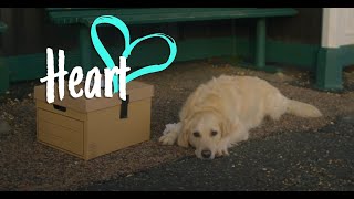 Heart  RSPCA Christmas Advert  2022 [upl. by Ahsiela]