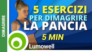 5 Esercizi che Bruciano il Grasso Addominale  Allenamento Pancia Piatta [upl. by Kast]