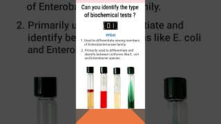 Quiz10  Biochemical test for identification of bacteria  shorts microbiology [upl. by Catherin]