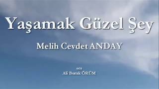 Yaşamak Güzel Şey Melih Cevdet ANDAYgaripçiler melihcevdetgüzelşeydoğrusumelihcevdetanday [upl. by Normie679]