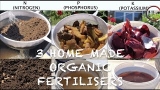 How to make  3 Homemade ORGANIC FERTILISERS in 4 minutes  NPK  Homemade Fertilizer  100 results [upl. by Musette515]