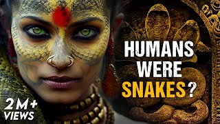 Hinduism Explains That Humans Evolved from Snakes  Mystery of Nagas [upl. by Ellard]