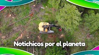 Notichicos por el Planeta  Deforestación [upl. by Ohl]