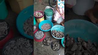 MURANG SEAFODS OBANDO MARKET [upl. by Oinimreh]