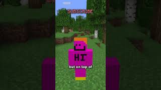 The MOST intense one shorts minecraft minecraftshorts [upl. by Sitoiganap]