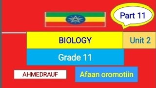 Grade11Biologyunit226 Homeostasis in animals [upl. by Siugram]