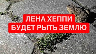 🤬 ВЕЛИКИЙ ГЭТСБИ И НЕПОБЕДИМАЯ ЛХ обзор ленахеппи облогерах [upl. by Notsnhoj]