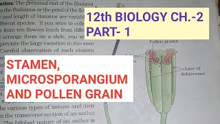 Class 12 biology chapter2 Part1 sexual rep in flower plantsStamensStudy with Farru [upl. by Neetsirhc]