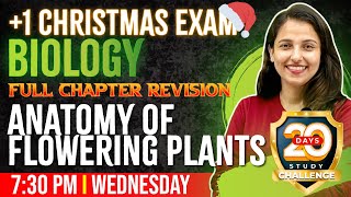 Plus One Biology Christmas Exam  Anatomy of Flowering Plants  Full ChapterChapter 6  Exam Winner [upl. by Nelac296]