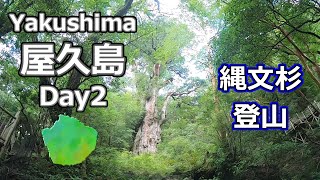 屋久島【縄文杉登山】2023年7月 （25） [upl. by Egidius]