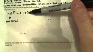 Problem about enzyme active sites [upl. by Isiah]