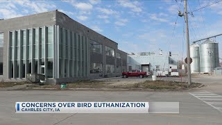 Concerns Over Bird Euthanization [upl. by Delcina705]