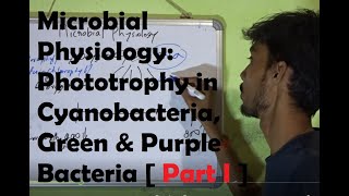 Microbial Physiology Phototrophy in Cyanobacteria Green and Purple Bacteria Part I [upl. by Er85]