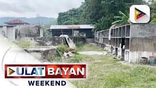 Babae na kalilibing lang sa Carcar City Cebu nadiskubreng hubad at nasa labas ng nitso [upl. by Jeno714]