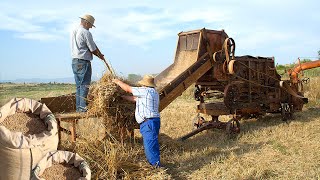 MAQUINARIA AGRÍCOLA tradicional Exhibición y evolución en la recolección de cereales  Documental [upl. by Jarlath]