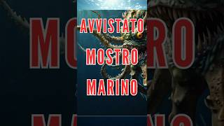 AVVISTATO MOSTRO MARINO nella vita REALE mostri shorts kraken megalodon [upl. by Nilesoy744]