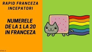 Franceza pentru incepatori2018  Numere in franceza de la 1 la 20 [upl. by Nednil]