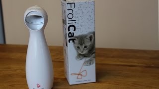 FroliCat BOLT Laser CatPet Toy  SEE IN IN ACTION 🐱 [upl. by Nojid597]