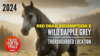 🎤 RDR2 Where to find Thoroughbred Horses  Location for Wild Dapple Grey Thoroughbred [upl. by Ahseikal]