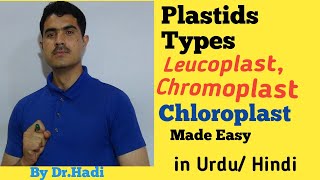 Plastids its Types Leucoplast Chromoplast and Chloroplast Lecture 12 in Urdu Hindi [upl. by Peta690]