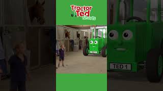 Whats A Racehorse 🐎  Tractor Ted Shorts  Tractor Ted Official Channel [upl. by Pris496]