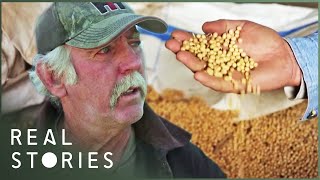 The Farmer Who Took On Monsanto David Vs Goliath Documentary  Real Stories [upl. by Keelin]