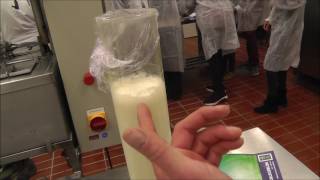 homogenization of milk [upl. by Sicnarf]