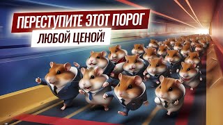 Hamster Feed здесь начинается финансовая независимость [upl. by Fadas]